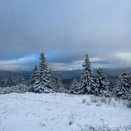 Cihlarka 209 Mountain