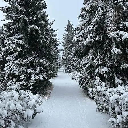 Cihlarka 209 Mountain Trutnov